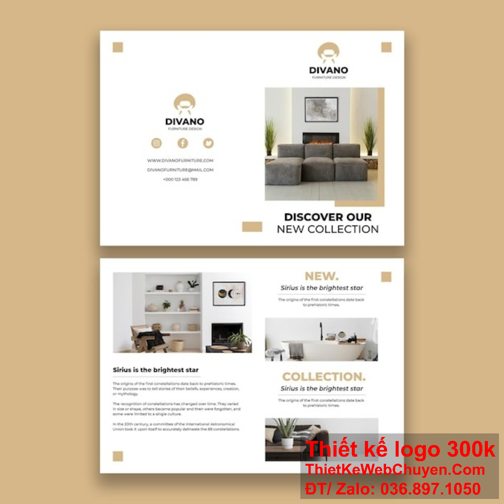 Profile công ty nệm nên có phần giới thiệu về các hoạt động xã hội và trách nhiệm cộng đồng. Profile công ty nệm nên bao gồm các số liệu thống kê và thành tích đạt được.