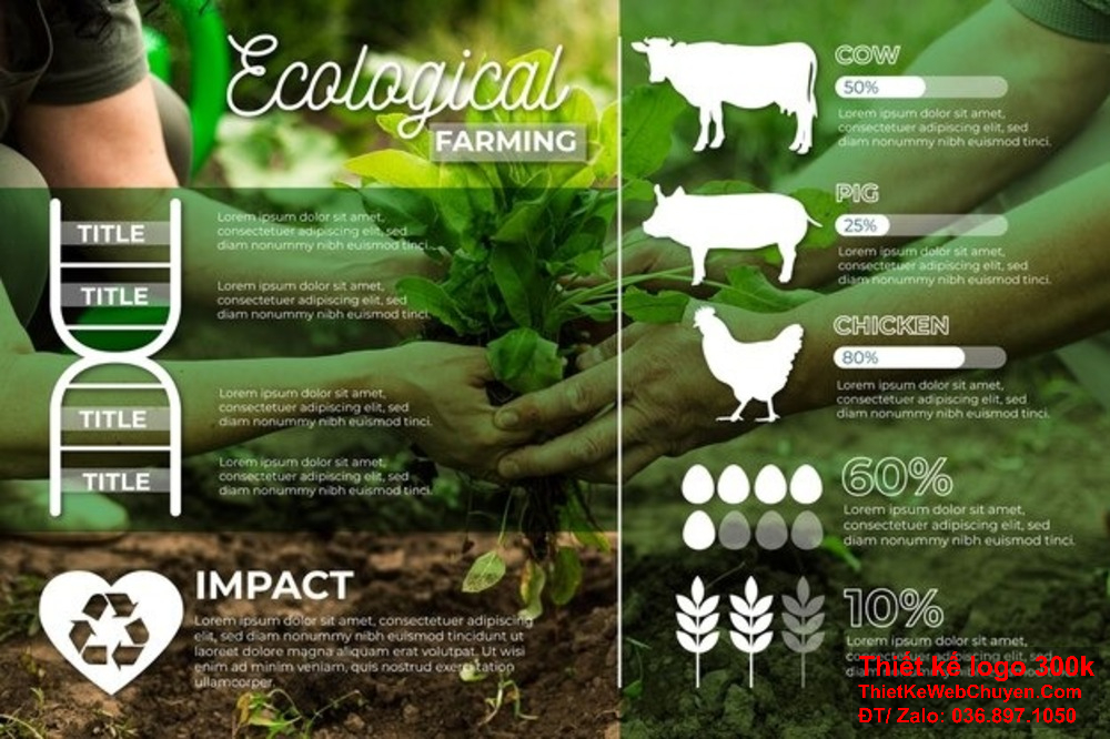 Thiết kế profile công ty sữa bột cần sử dụng ngôn ngữ dễ hiểu và gần gũi. Thiết kế profile công ty sữa bột cần đảm bảo tính thẩm mỹ và hài hòa về mặt hình ảnh.