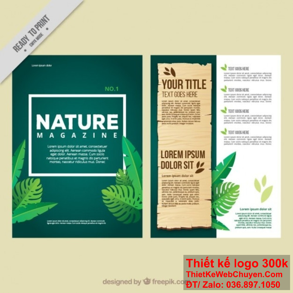 Thiết kế profile công ty trà xanh cần có phần giới thiệu về các hoạt động xã hội. Thiết kế profile công ty trà xanh cần có phần giới thiệu về các kênh phân phối sản phẩm.