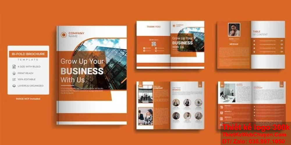 Thiết kế profile công ty yến sào chuyên nghiệp cho doanh nghiệp của bạn. Tầm quan trọng của thiết kế profile công ty yến sào trong ngành yến sào.