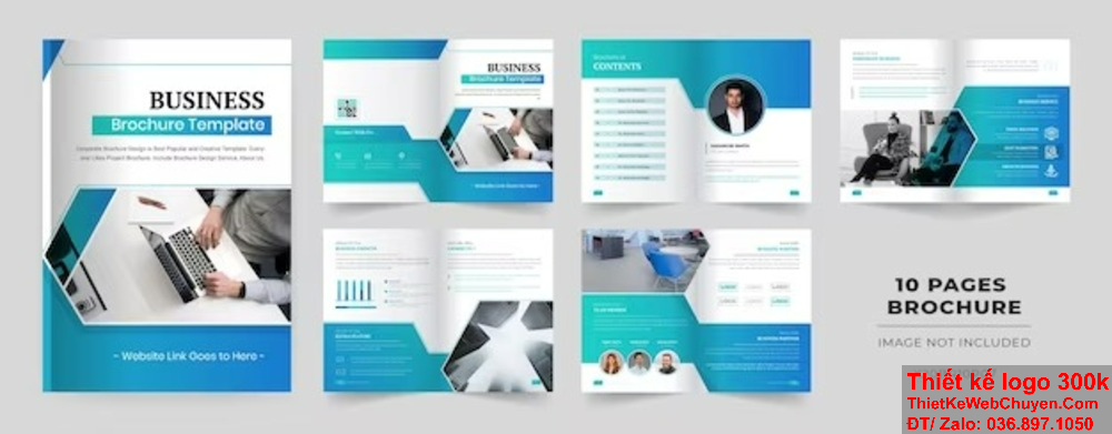 Mẫu thiết kế profile công ty yến sào ấn tượng. Những yếu tố quan trọng khi thiết kế profile công ty yến sào.