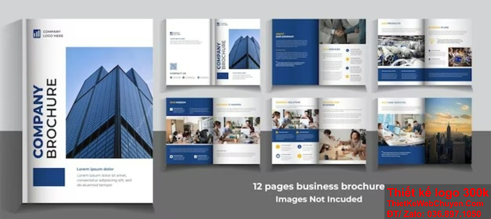 Thiết kế profile công ty yến sào – giải pháp nâng tầm thương hiệu. Thiết kế profile công ty yến sào sáng tạo và độc đáo.