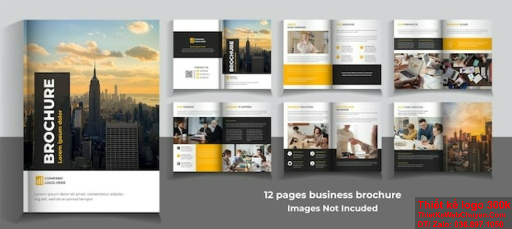 Thiết kế profile tại Đà Nẵng với phong cách độc đáo. Bạn cần thiết kế profile tại Đà Nẵng để nâng cao hình ảnh thương hiệu?