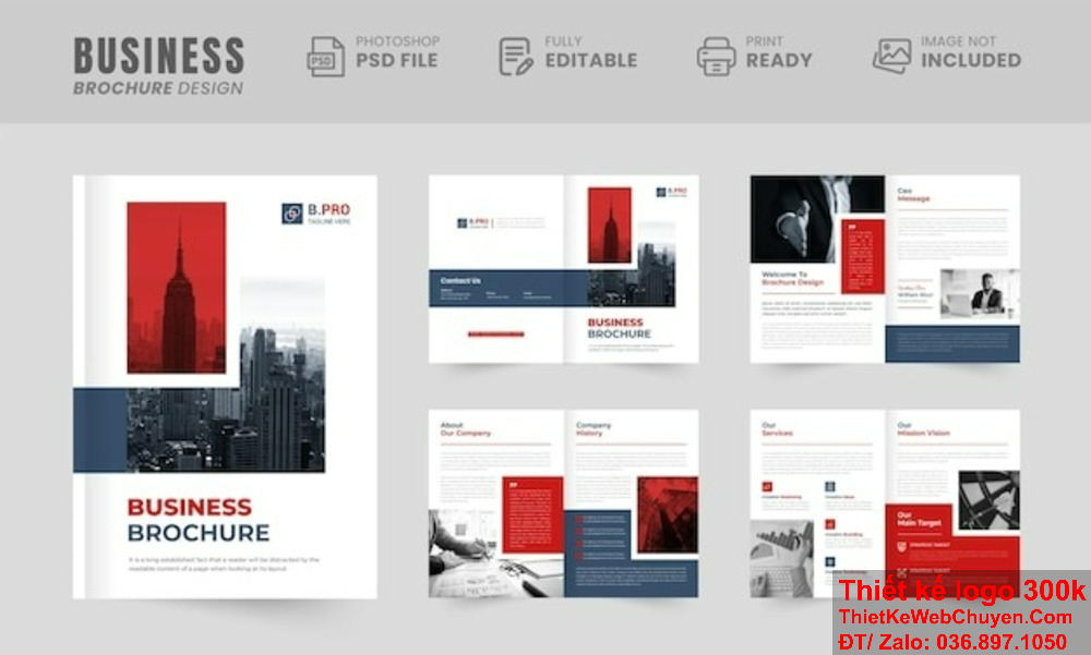 Thiết kế profile tại TpHCM, điểm nhấn cho chiến lược marketing. Dịch vụ thiết kế profile tại TpHCM, đáp ứng mọi nhu cầu của khách hàng.