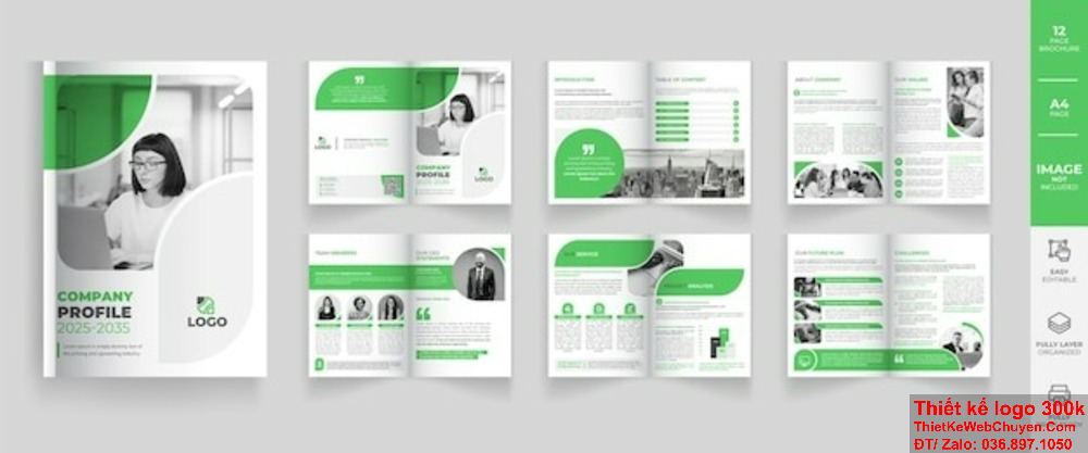 Thiết kế profile tại TpHCM, nâng tầm thương hiệu của bạn. Thiết kế profile tại TpHCM đảm bảo chất lượng và sáng tạo.