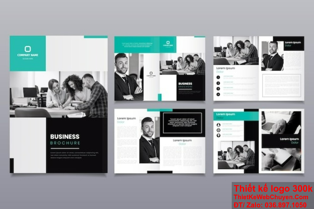 Thiết kế profile tại TpHCM, đẳng cấp và sang trọng. Thiết kế profile tại TpHCM, nâng cao hình ảnh doanh nghiệp.