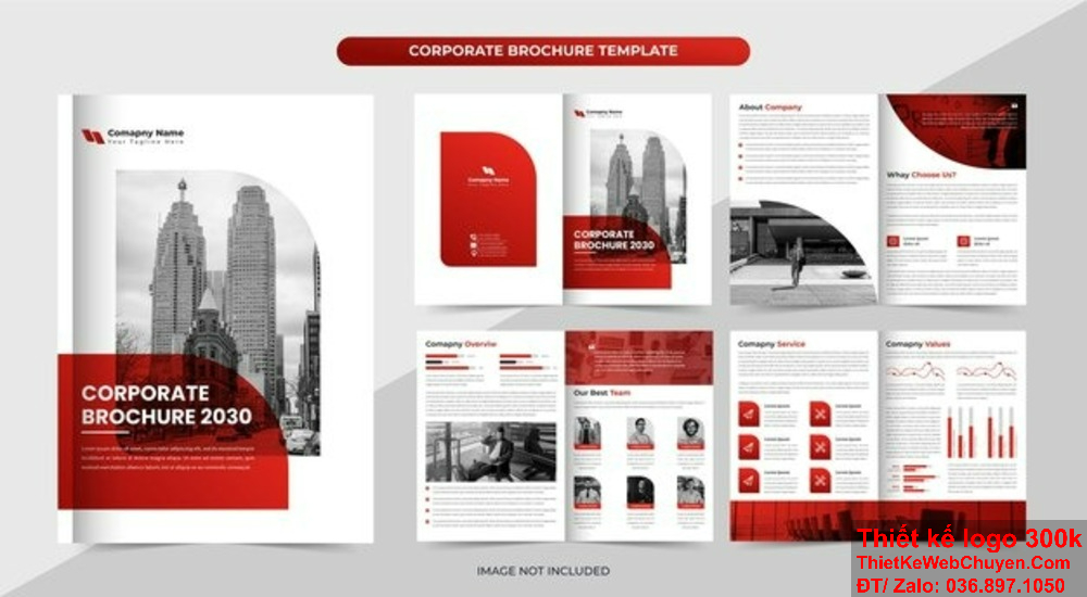 Thiết kế profile tại TpHCM, chuyên nghiệp và uy tín. Thiết kế profile tại TpHCM, giải pháp toàn diện và hiệu quả.