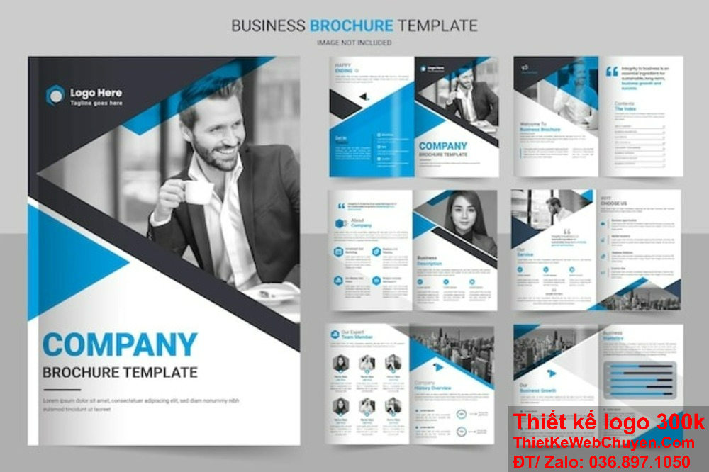 Thiết kế profile thương hiệu cần đảm bảo tính thẩm mỹ và tính ứng dụng cao. Thiết kế profile thương hiệu giúp doanh nghiệp dễ dàng truyền tải thông điệp và giá trị đến khách hàng.