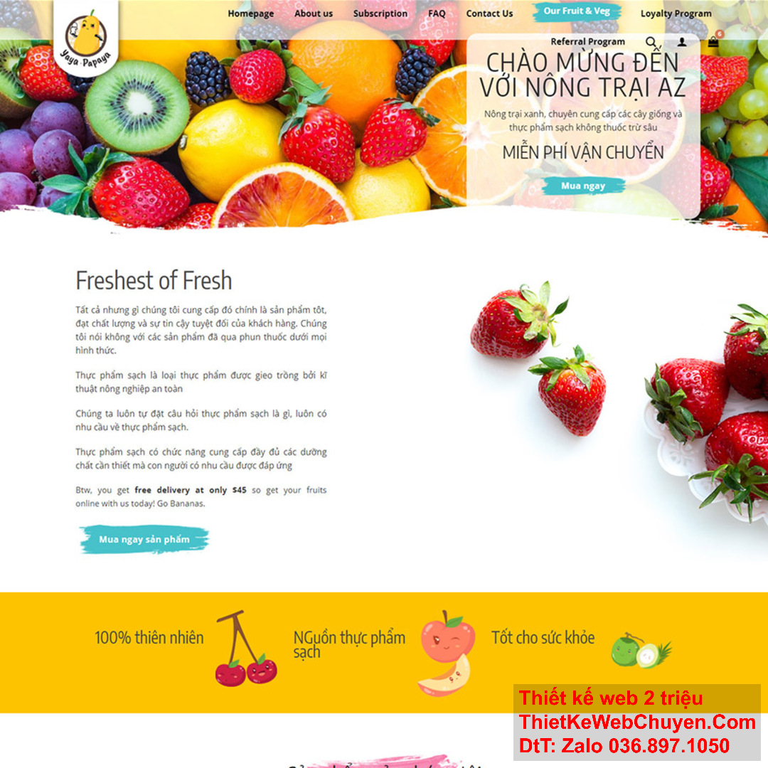 Thiết kế web cần những gì để tích hợp video và âm thanh?